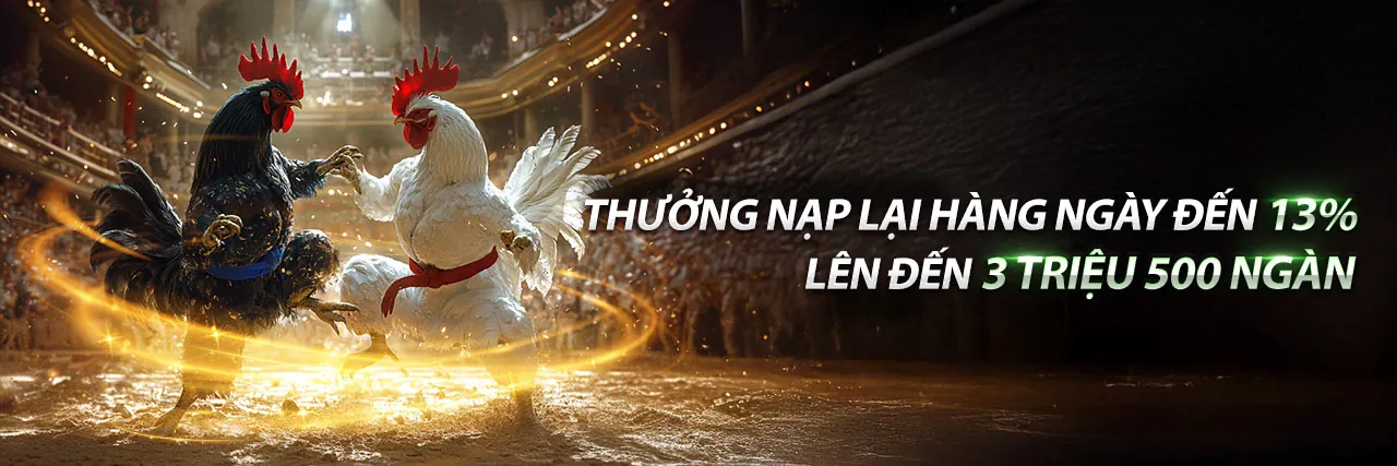 Đá Gà Trực Tuyến Kịch Tính tại fu88 hiện đang mở